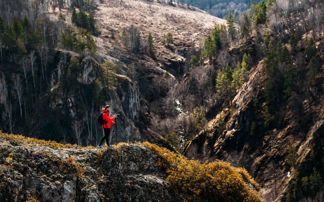 Wilderness Whispers: Insights for Exploring the Wild